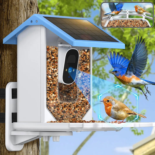 Smart Bird Feeder with Camera (Solar Powered | 4MP HD | WiFi/4G LTE)